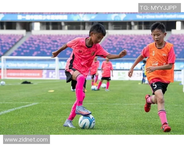 陶伟足球的魅力与发展探索：从青训到职业联赛的全景分析