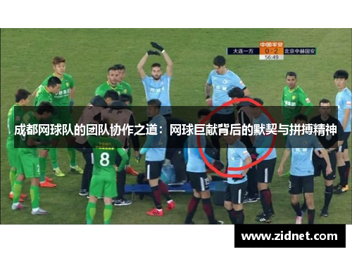 成都网球队的团队协作之道：网球巨献背后的默契与拼搏精神