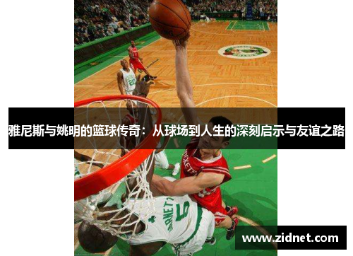 雅尼斯与姚明的篮球传奇：从球场到人生的深刻启示与友谊之路